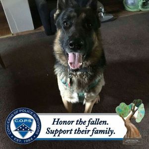 Meet your Posher, Mary ann